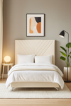 Lily Headboard - King Single Size - Light Cream Velvet