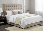Maison Buttoned Queen Headboard - Beige Velvet
