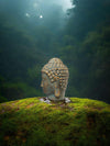 Antique Buddha Head Sculpture